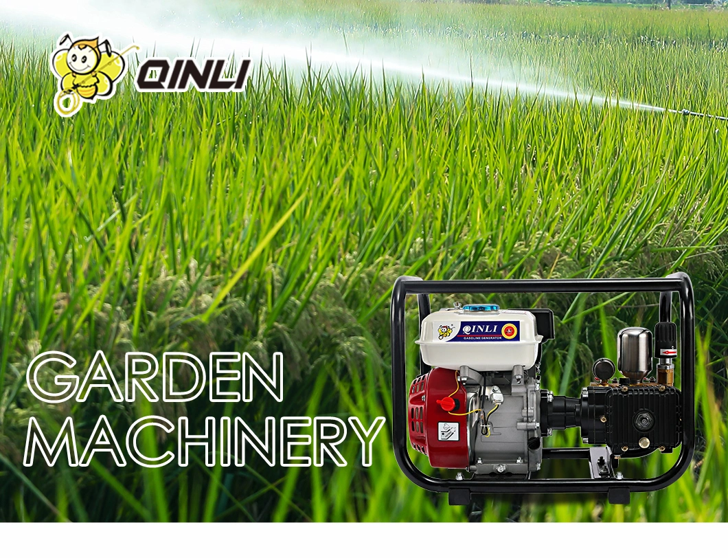 Plunger Pump Gasoline Engine Push Sprayer Mist Blower Machine /Agriculture Portable Pump Power Garden Sprayer/Agriculture Spray Machine/Garden Machinery Spraye