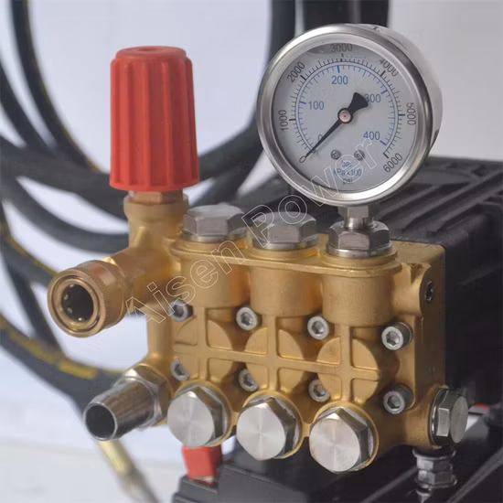 Hidrolavadora de gasolina de alta presión personalizada para limpieza agrícola