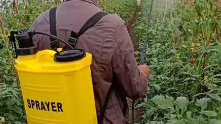 Desinfección agroquímica Esterilización Mochila agrícola Granja Jardín Batería Mochila eléctrica Mano Pulverizador manual (HT-20H)